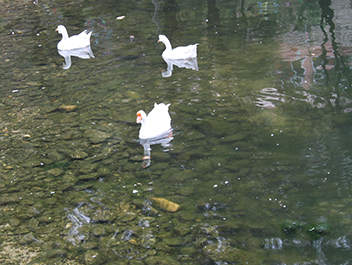 2013年5月密云霧靈山莊旅游